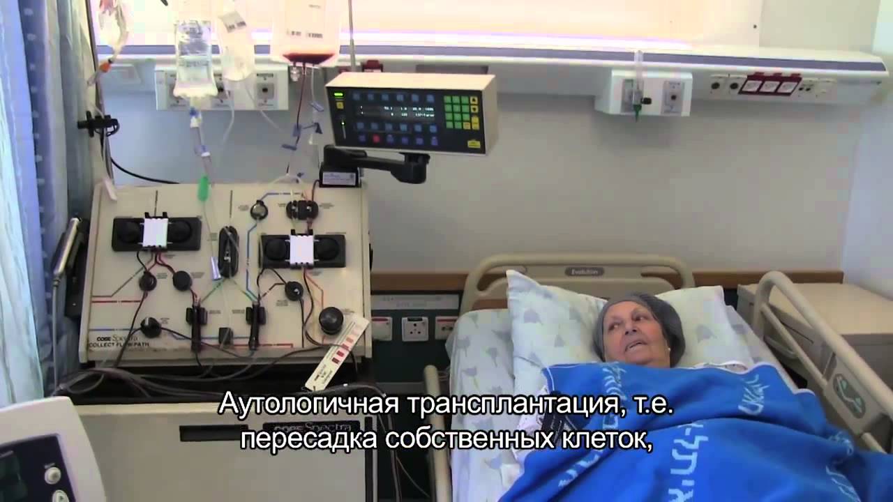 Гематология и пересадка костного мозга в центре Сураски, Израиль