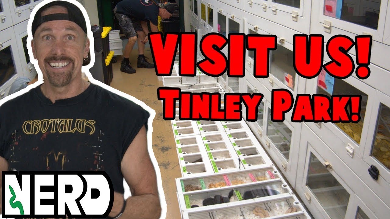 Tinley Park Expo! HERE WE COME! Behind the Scenes