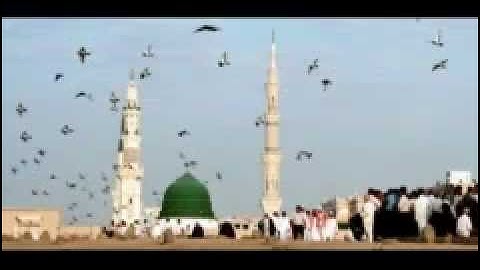 محمد شوكت .. سورة الأنبياء (36-44) صلاة العشاء .. 3_7_2012