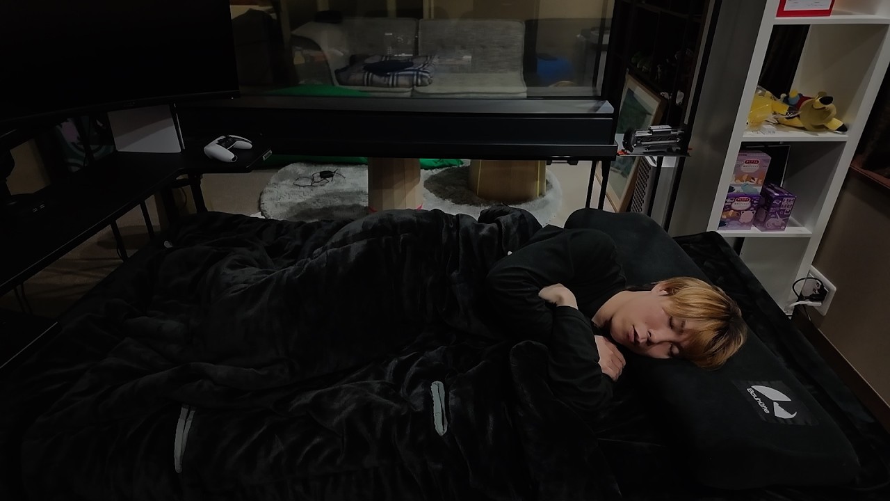 借住ニートと本気で昼寝する動画💤🛏️【作業用】