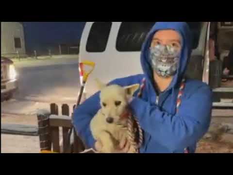 Video: Berjuang Melawan Puppy Mills