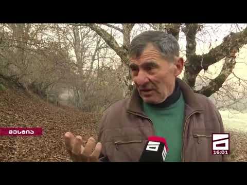 მესტიაში ტყის ხანძრის ქრობის პროცესში 90-მდე მეხანძრე-მაშველი ჩაერთვება