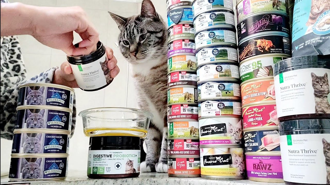 Blue Buffalo Wilderness Chicken Recipe Wet Cat Food For Mature Cats