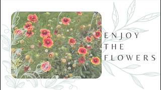 𝑭𝒍𝒐𝒘𝒆𝒓𝒔 | 🌱 Soft Music Playlist  🌱  🎵 (Classical, Movie, Video Game, Anime) screenshot 2