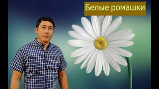 Азамат Исенгазин - "Белые ромашки" НОВИНКА 2021 !!!