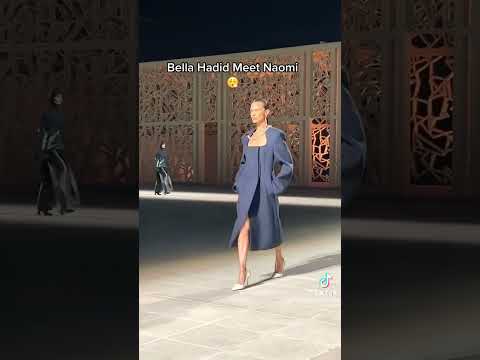 Bella Hadid meets