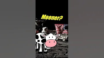 Why "LUNAR" and not "MOONER"? 🌛