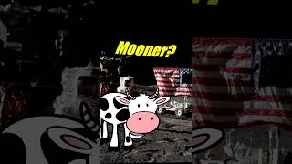 Why Lunar And Not Mooner? 