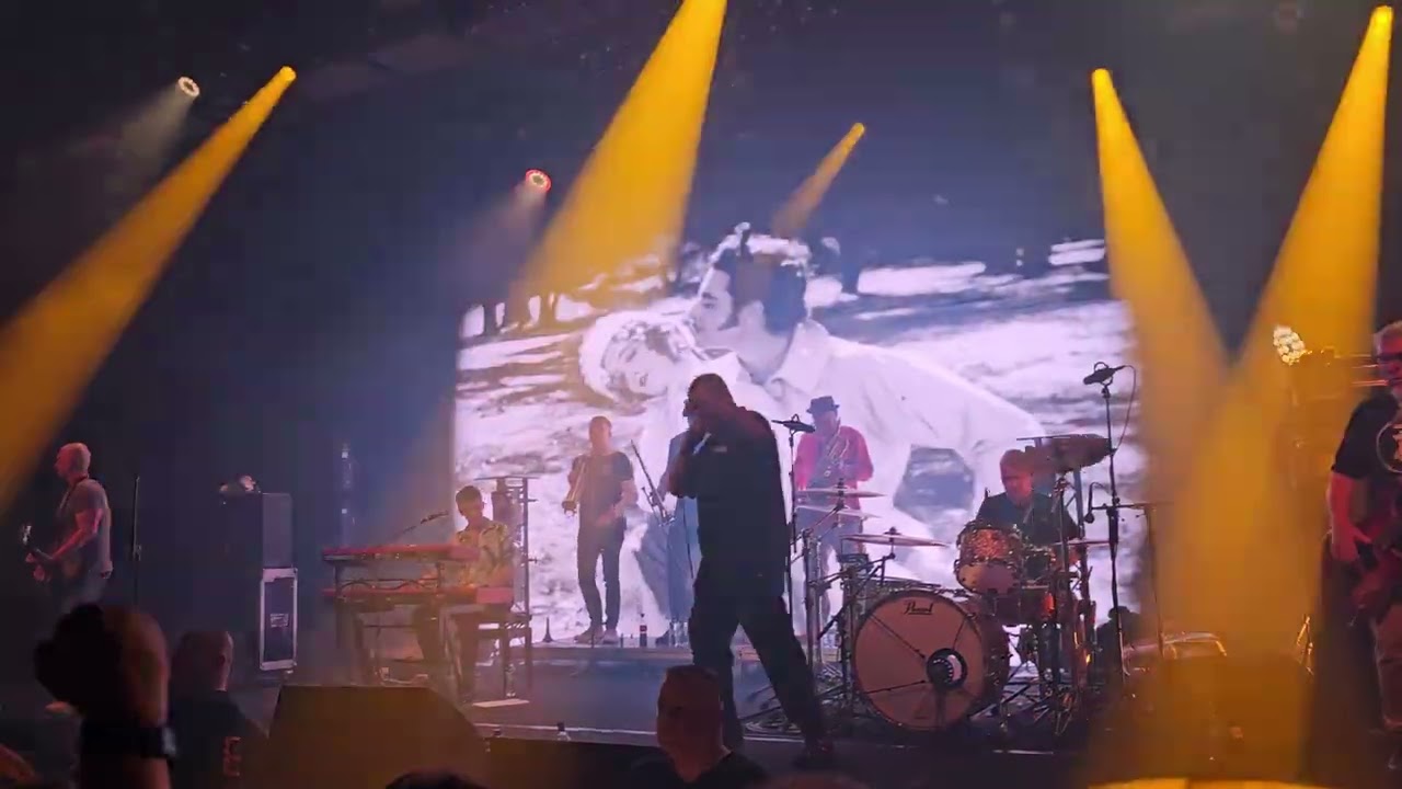 Kult - Notoryczna narzeczona | Klub Studio | Kraków | 14.11.2025 #kult #kazik #operacjateneryfa