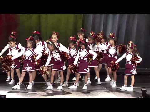 Cornerstone Academy Preparatory School, Student Performance, Conference 2014