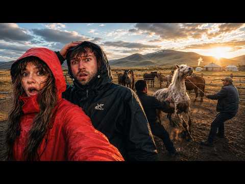 24 Stunden in der Mongolei - Das dunkle Geschäft mit den Pferden