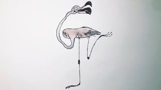 تعلم الرسم:تعلم رسم طائر البجع بطريقه كرتونيه