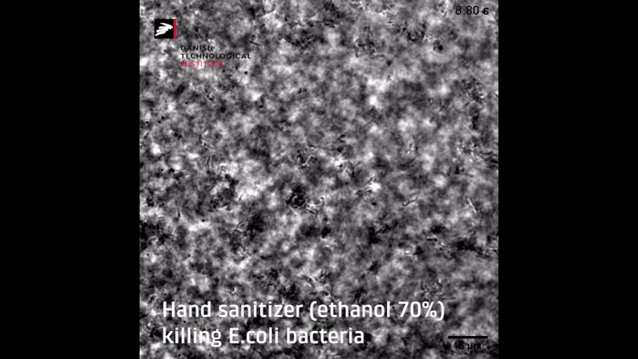 Hand sanitizer killing bacteria - YouTube