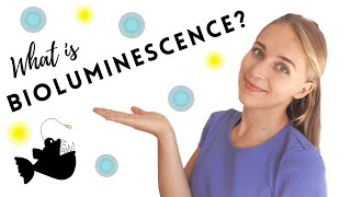 What Is Bioluminescence? Science By Ashley