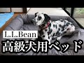 【高級ベッド】をL.L.Beanで買ったら凄かった！！