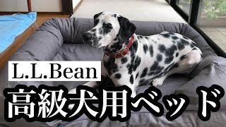 【高級ベッド】をL.L.Beanで買ったら凄かった！！