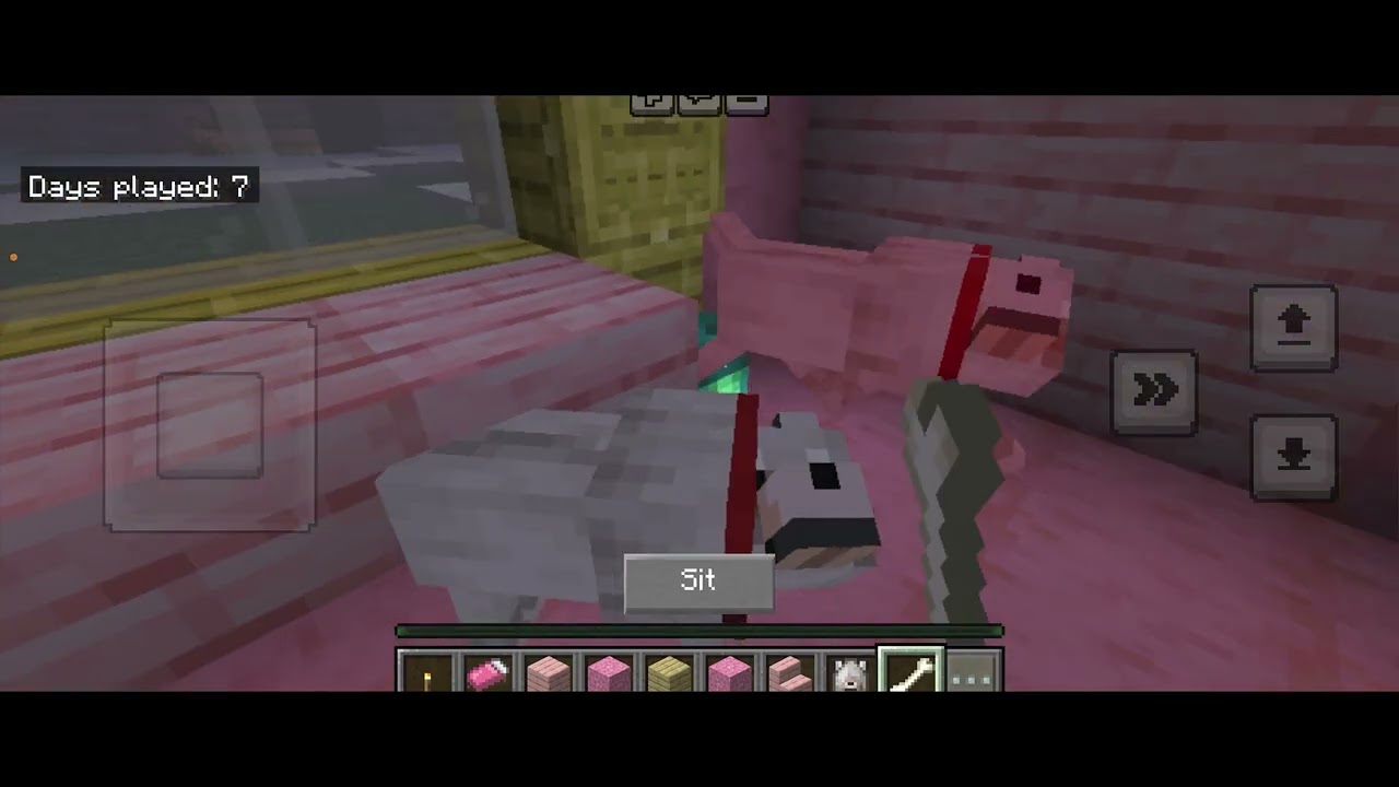 Trying to make two wolfs have a baby (EPIC FAIL) 💔