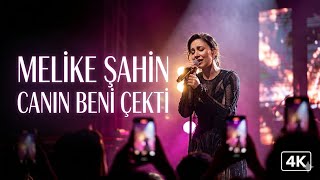 Melike Şahin - Canın Beni Çekti (Live / Canlı Performans) 4K