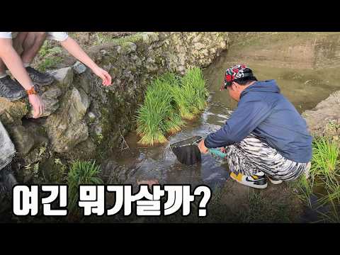 세계에서 가장 아름다운 곳중 하나라는 이 오지마을에는 어떤 생물이 살고 있을까?