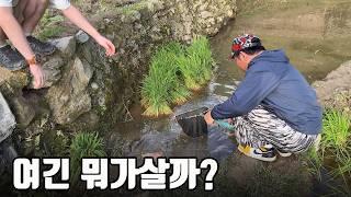 세계에서 가장 아름다운 곳중 하나라는 이 오지마을에는 어떤 생물이 살고 있을까?