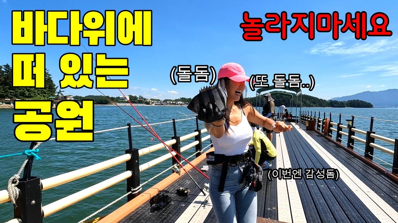 가족 낚시공원에 돌돔이 쏟아집니다. 2만원으로 20만원어치 자연산 회 실컷 잡으세요.아니 진짜 뭐 이런데가 다있지??