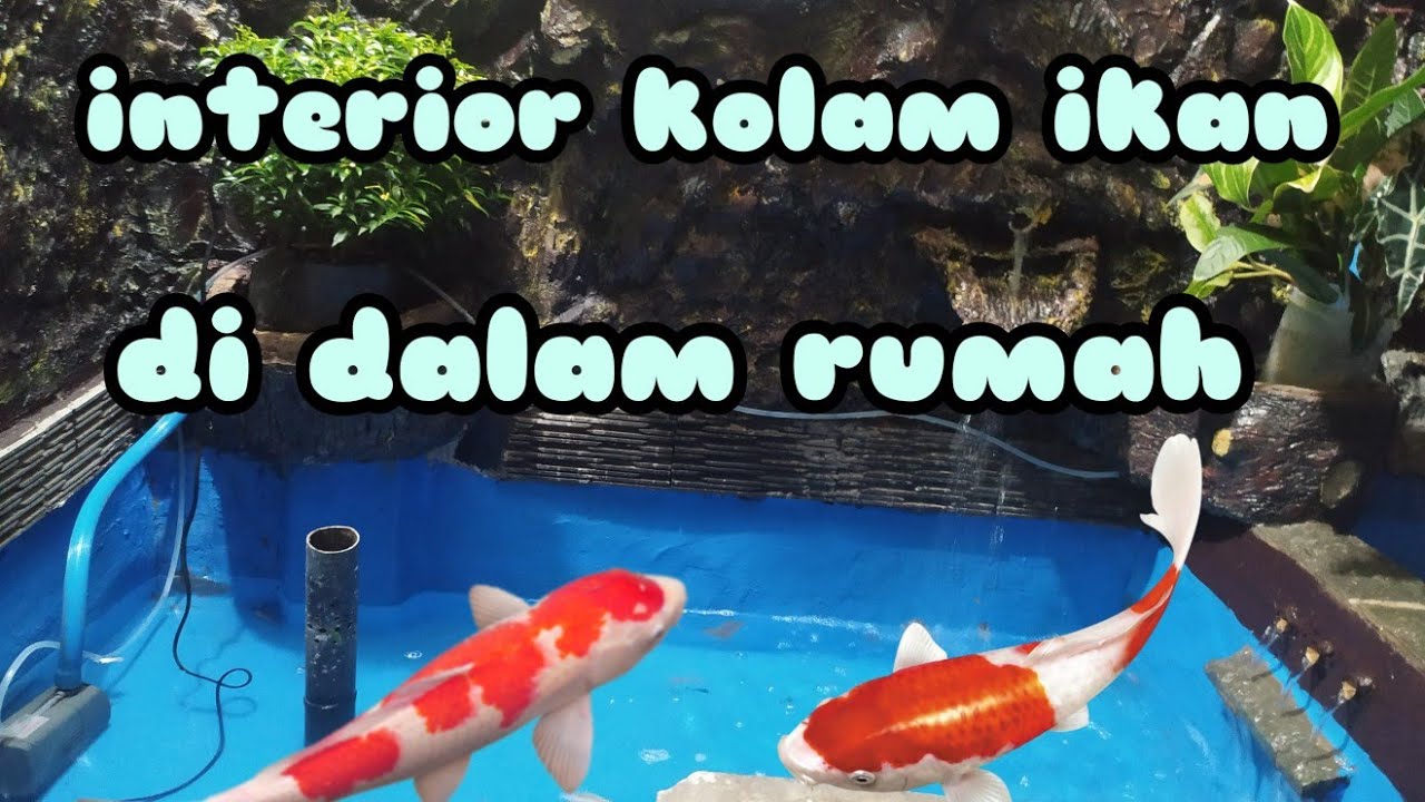 Interior Kolam Ikan Minimalis Bawah Tangga Di Dalam Rumah YouTube