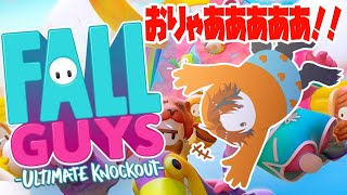 【Fall Guys】勝つのは、ロベル。【ホロスターズ/夕刻ロベル】