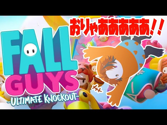 【Fall Guys】勝つのは、ロベル。【ホロスターズ/夕刻ロベル】のサムネイル