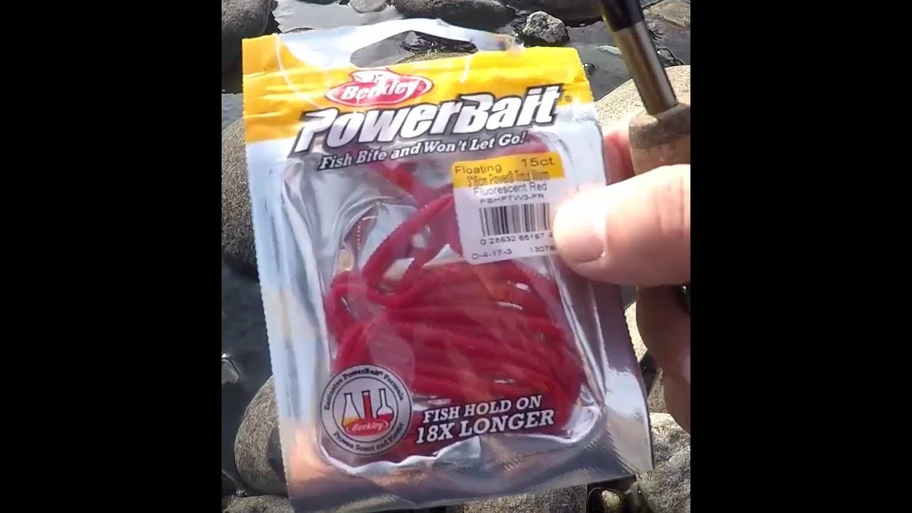 best trout bait 