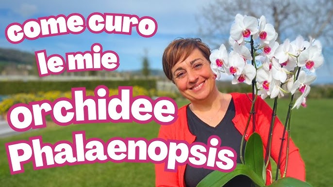 TERRE POUR ORCHIDÉE 10 - Anticadutavasi