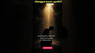 നിങ്ങളുടെ വേദന എന്തിന്? #shadowwork #personalgrowth #carljung  #motivation #malayalam #psychology