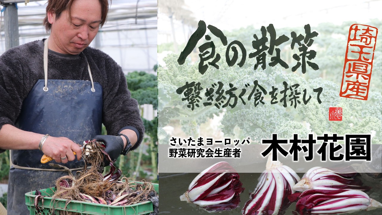 Growing Western vegetables in Saitama City. The Italian vegetable