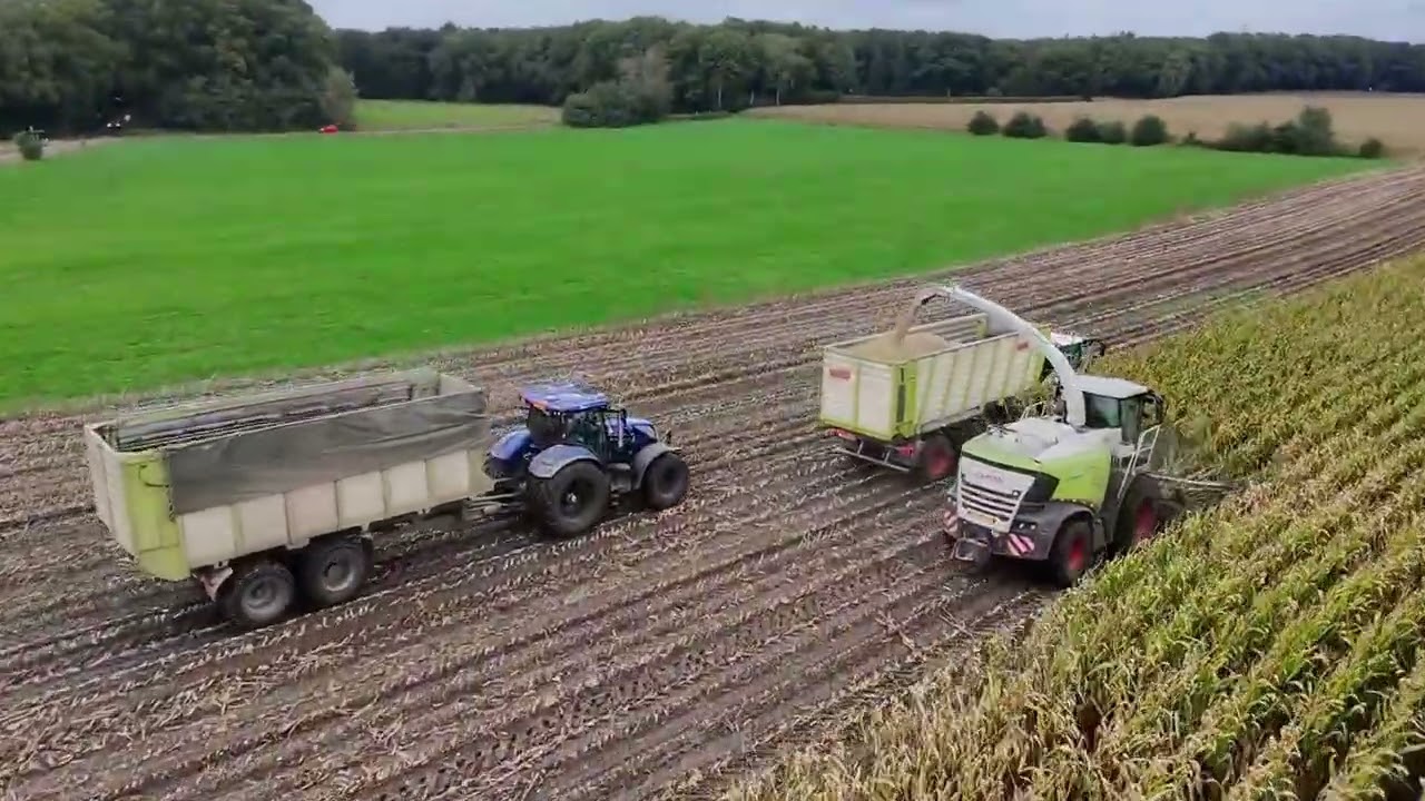 Corn silage 2025 near Apeldoorn!