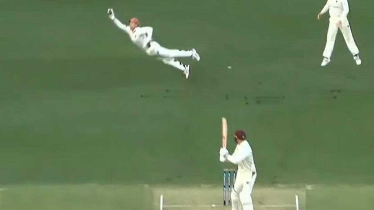 Carey soars to reel in an absolute hanger