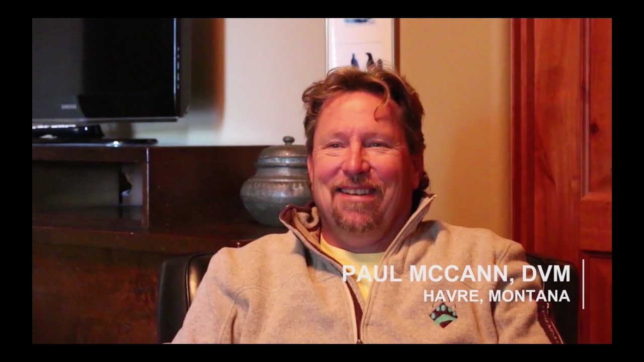 Paul McCann, DVM - Silkin Management Group Review