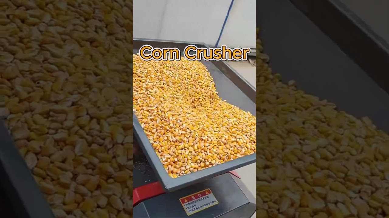 Corn Crusher with Motor – Feed Grinding Machine for Farmers