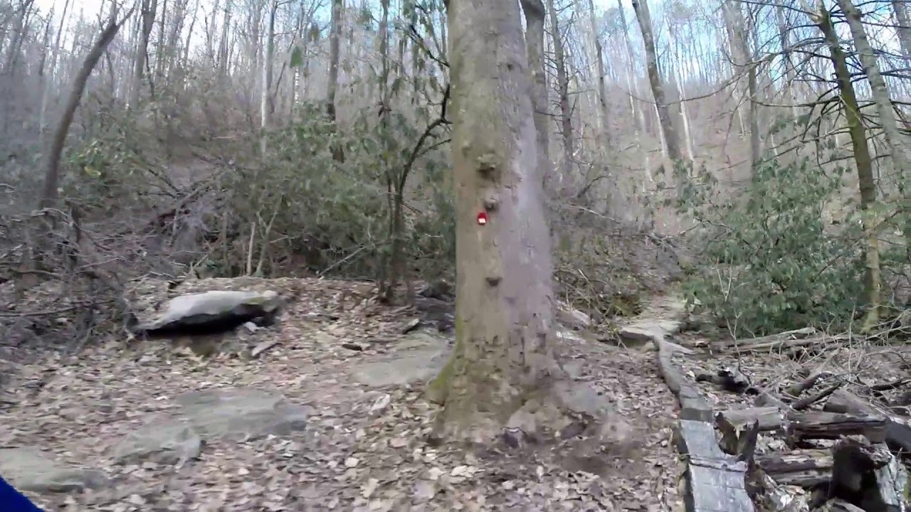 Buffalo creek / Weedpatch