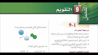 حل أسئلة باب ( الوراثة الجزيئية )