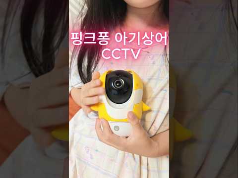 아이가 좋아하는 핑크퐁 아기상어 CCTV