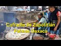 Video de Zapotitlán Palmas