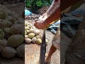 This Coconut Peeling Technique is SO Satisfying