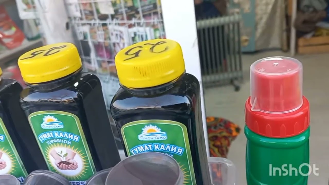 9 ДЕКАБРЬ  ТОШКЕНТ ЧОРСУ ГУЛ  БОЗОРИ🪷💮🌸💐🌼🌷🪻⚘️🪷💮🌸💐🌷🪻