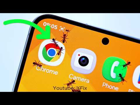 Why Are Ants Crawling All Over My Phone ?