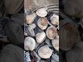 BBQ Cowboy Clams #bbq #food #cooking #seafood #charcoal #grill #grilling