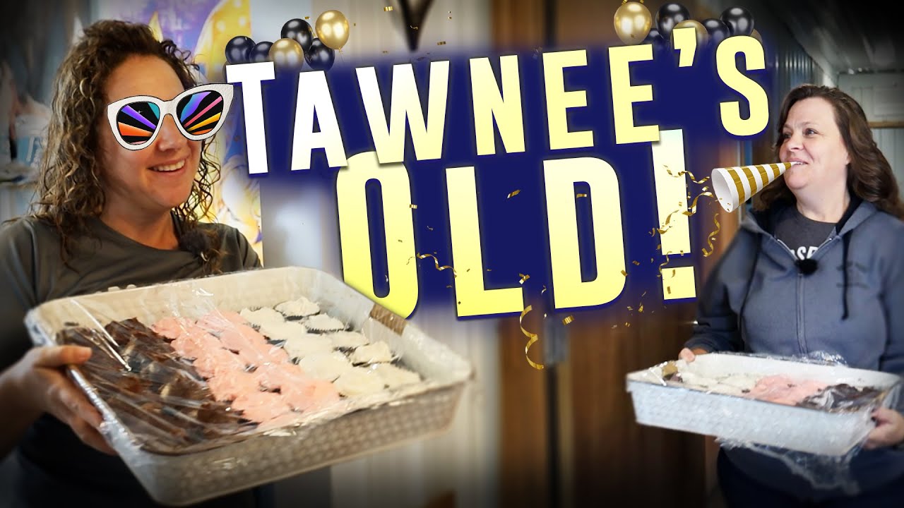 Tawnee's Old - Horse Shelter Heroes S4E16