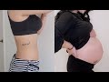 【妊娠7週から38週までのお腹の変化🤰🏻】PREGNANCY TRANSFORMATION!! BY WEEK 7-38