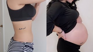 妊娠7週から38週までのお腹の変化 Pregnancy Transformation By Week 7 38 Youtube
