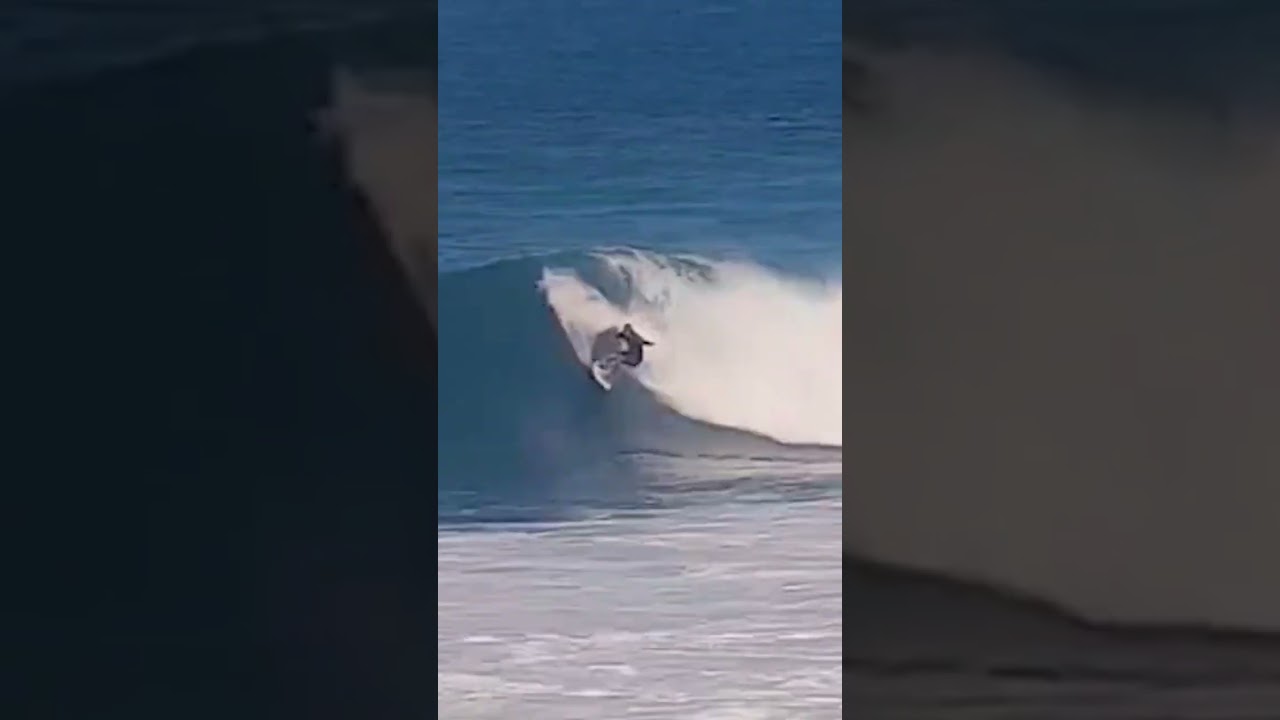 Clips