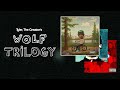 A deep dive into tyler the creators disturbing wolf trilogy