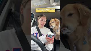 Golden Retriever tries a Pup Cup and it gets messy #funny #dogs